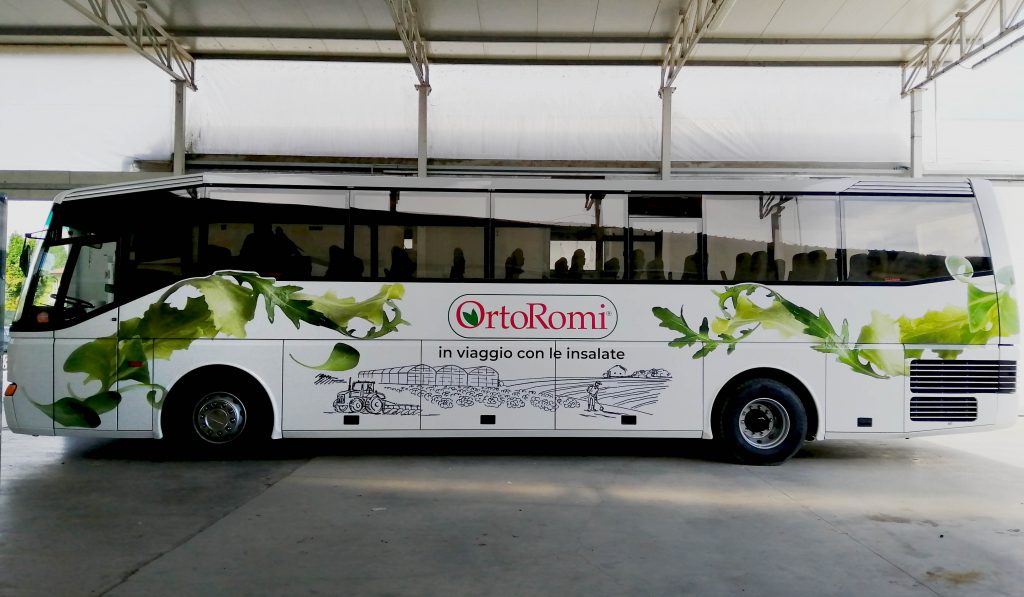 auto 10