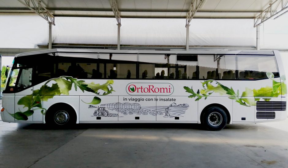 auto 10
